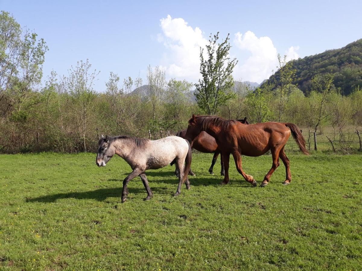 Ok Koral Nature Holidays Hotel Virpazar Exterior photo